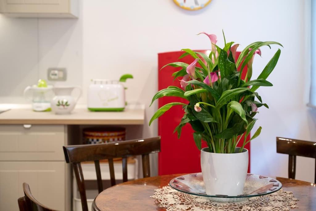 Casa Bouganville - St. Peter Romantic Apartment Eksteriør bilde